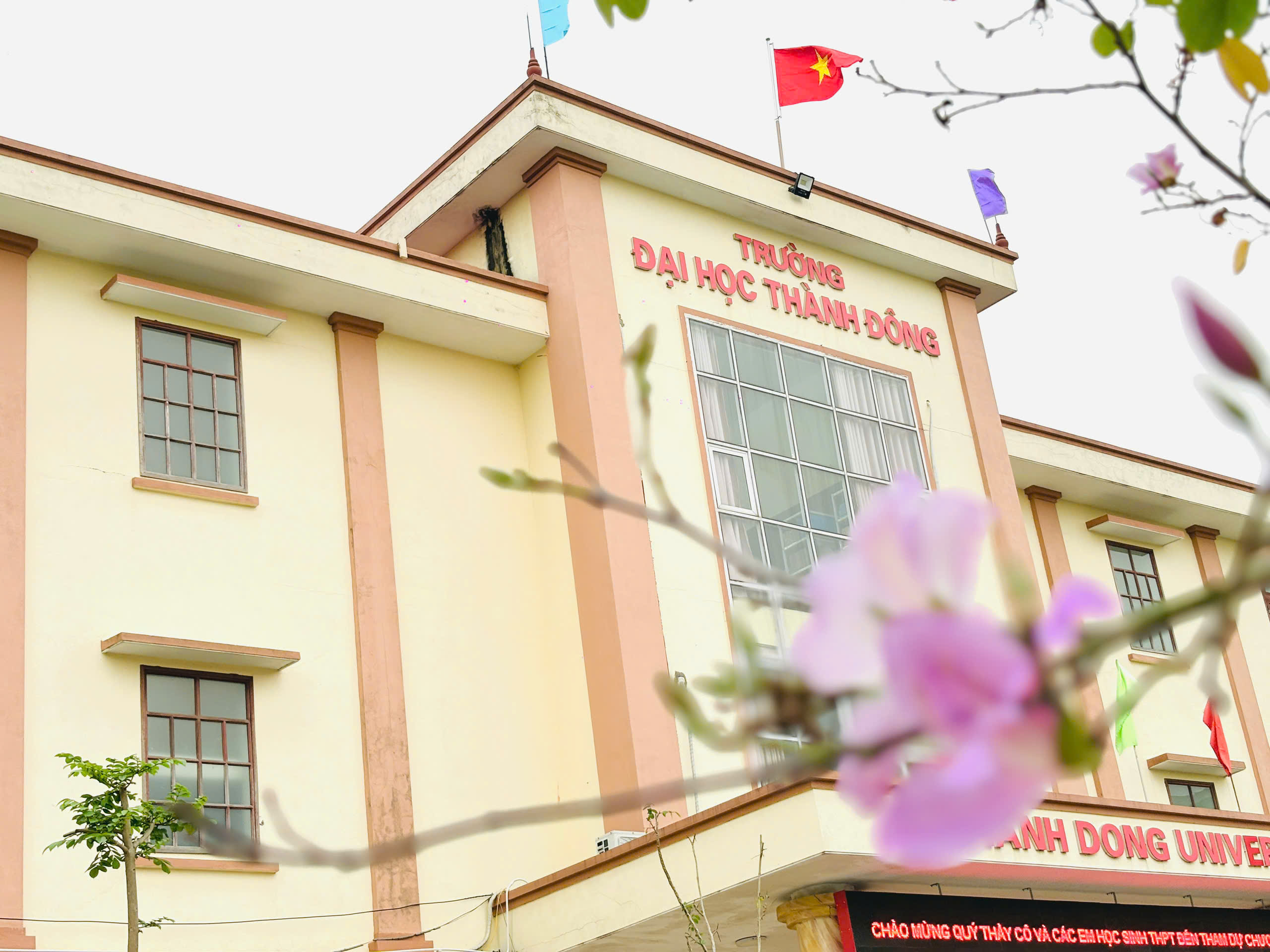 Quyết đinh V/v điều chỉnh và ban hành CTĐT trình độ Đại học năm 2024